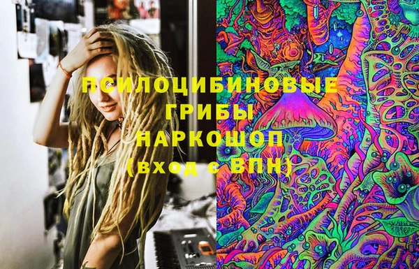 СК Горнозаводск