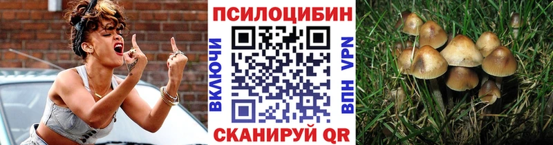 Галлюциногенные грибы прущие грибы  наркошоп  Оха 