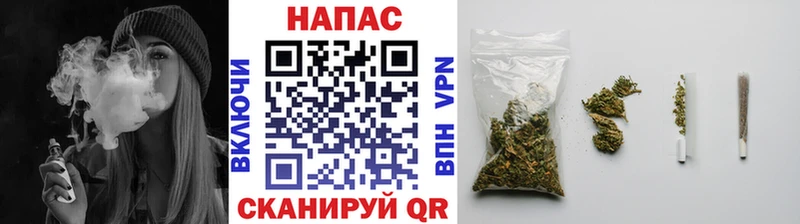 Каннабис индика  Оха 